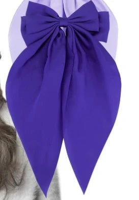 Hair Bows for Women 🎀